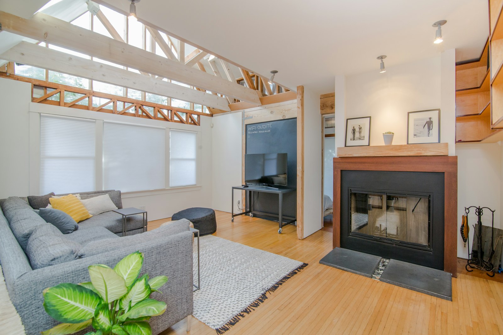 Living room set with green dumb cane plant